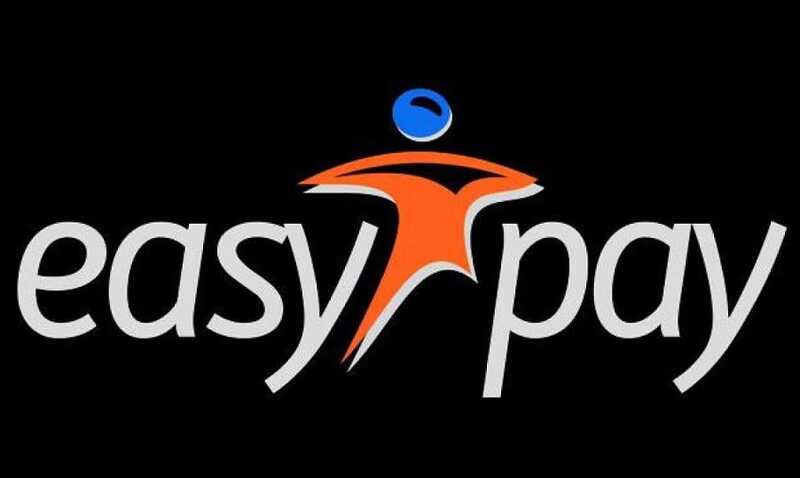 Как EasyPay братьев Авраменко связана с азартными играми, наркотрафиком и российскими деньгами