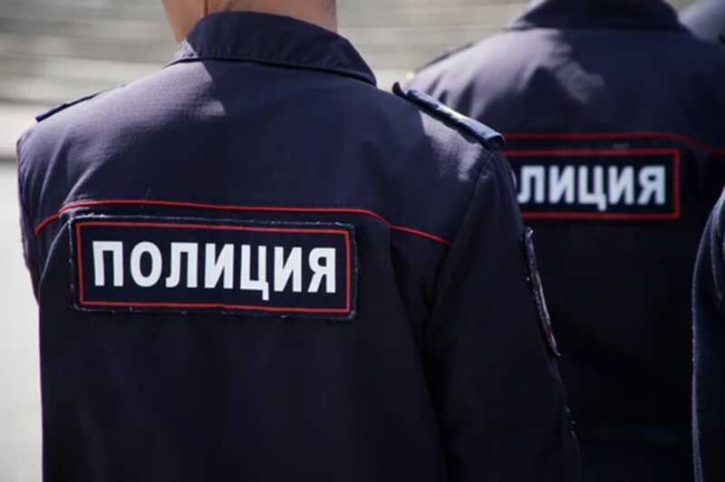 У ДСР «течка»