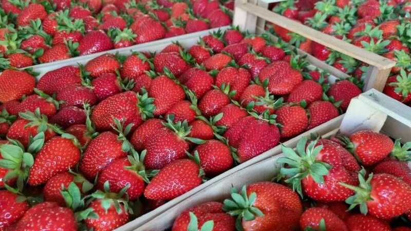 В Москве цены на клубнику удвоились из-за весенних заморозков