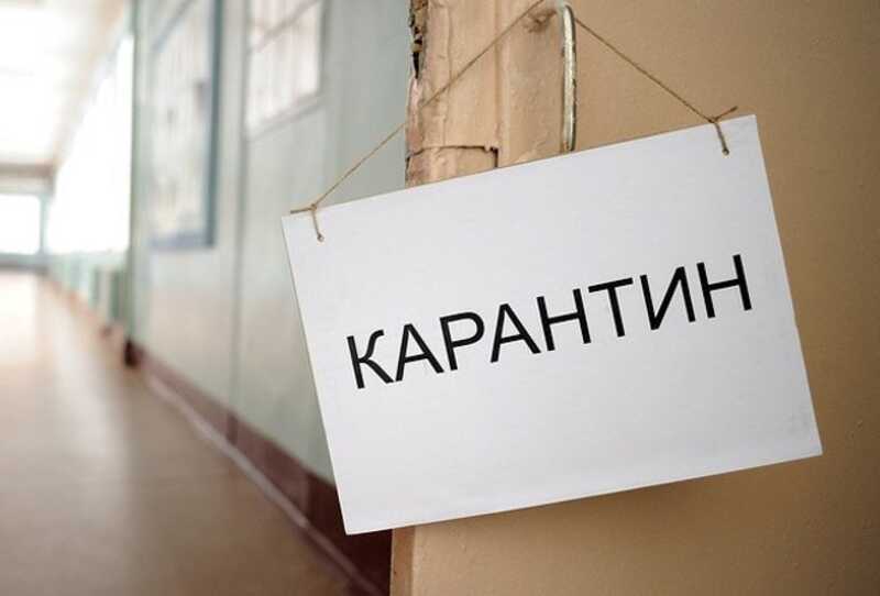 В Самаре введены карантинные меры из-за гибралтарской лихорадки