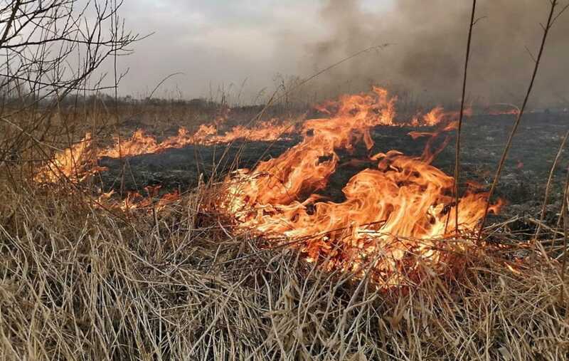 В Бурятии школьники подожгли сухую траву и устроили пожар