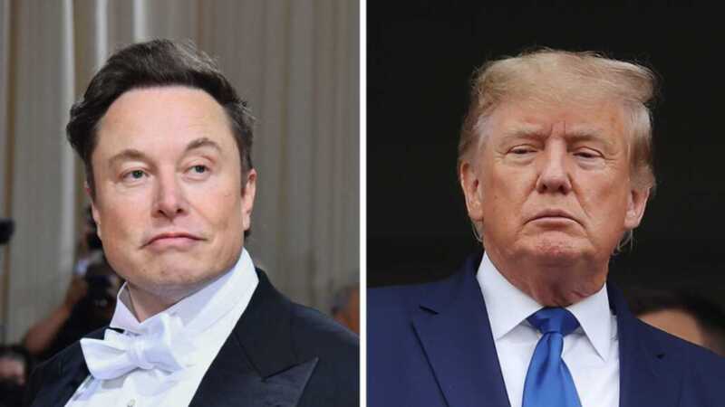 Трамп при победе на выборах может предложить Илону Маску должность консультанта