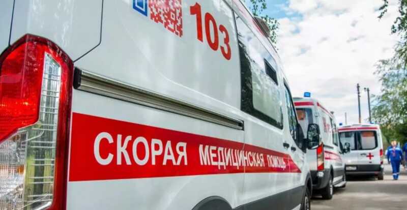 В Татарстане ребенка ударило током от электроизгороди для скота