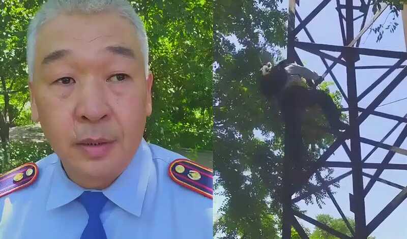Экс-полицейский залез на столб в знак протеста против своего увольнения из МВД