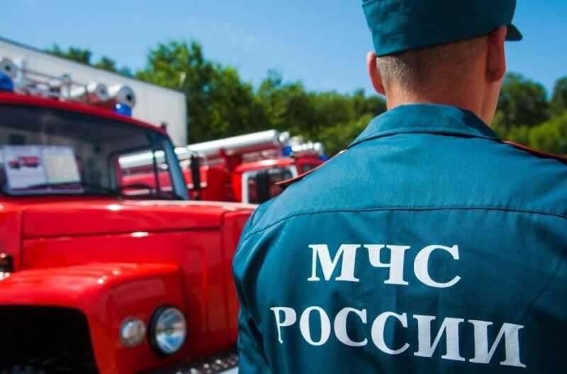 Пропавшие в лесу дети найдены живыми в Свердловской области
