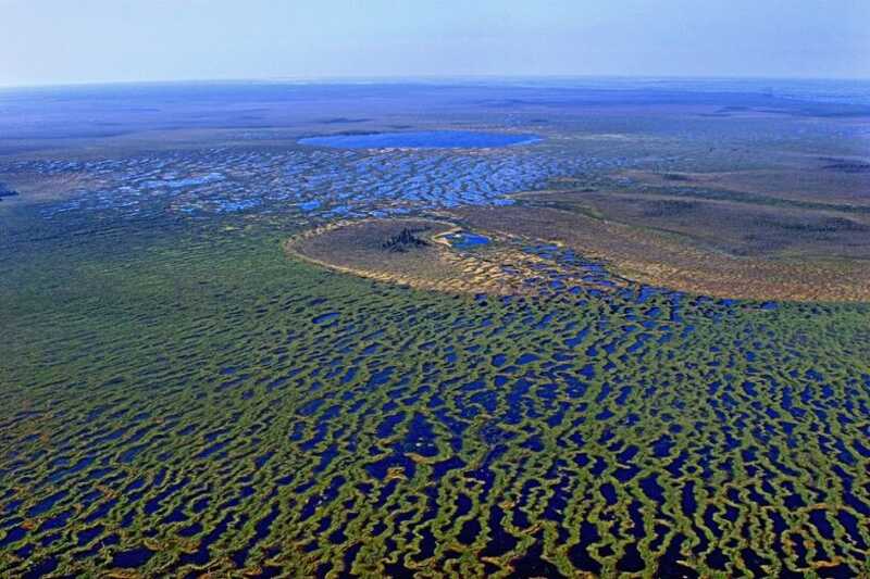 Пламя распространилось на самое крупное тропическое болото на планете