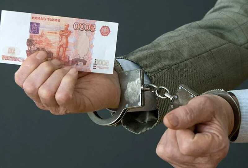 Ректор Воронежского государственного университета "защитил" диссертацию жены взяткой