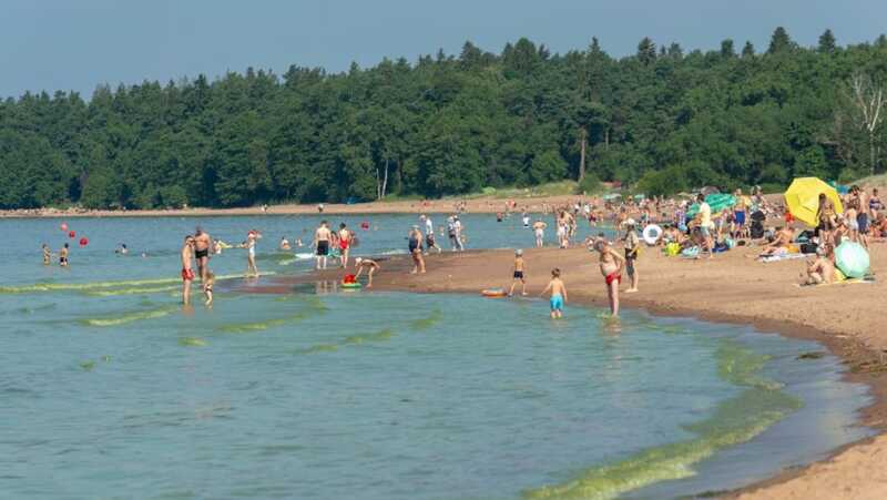 В российском курортном городе запретили купаться на пляжах