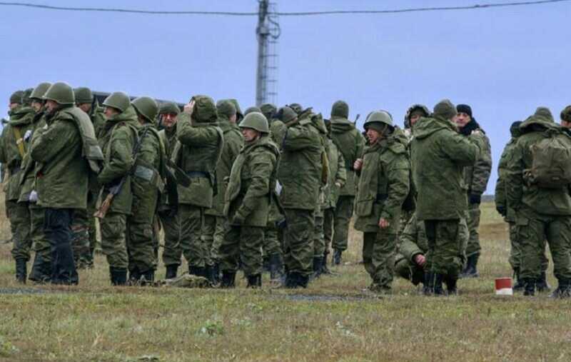 В Белгородской области военные ограбили свиноферму