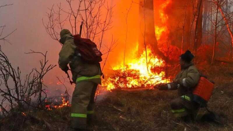 Огонь повредил 60 построек на базе "Романтик" в Дюрсо, два человека пострадали
