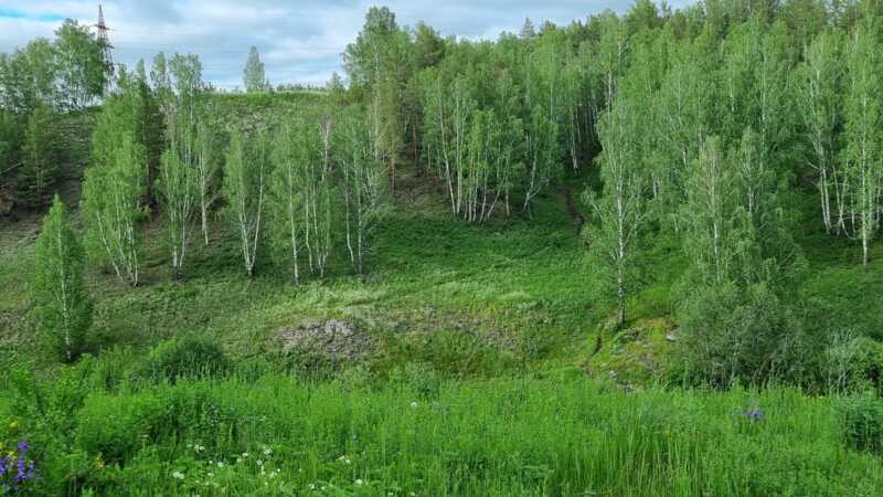 В Нижневартовске рабочий заблудился и сутки бродил по лесу