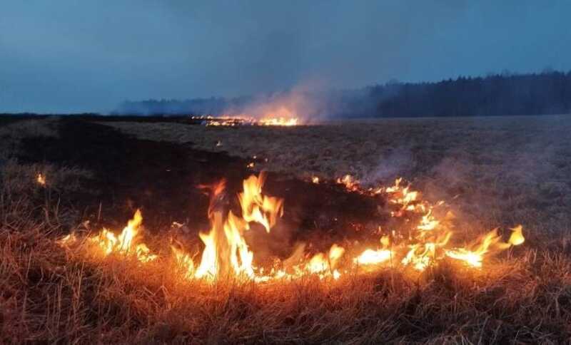 В Ростовской области начался крупный пожар из-за вспыхнувшей сухой травы