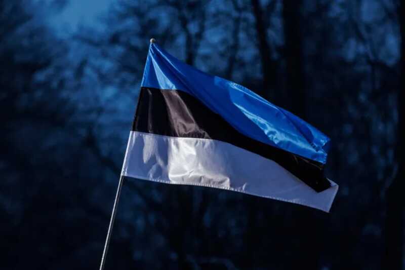 Стало известно о недовольстве народа правительством Эстонии