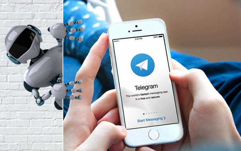 Telegram-        ,    