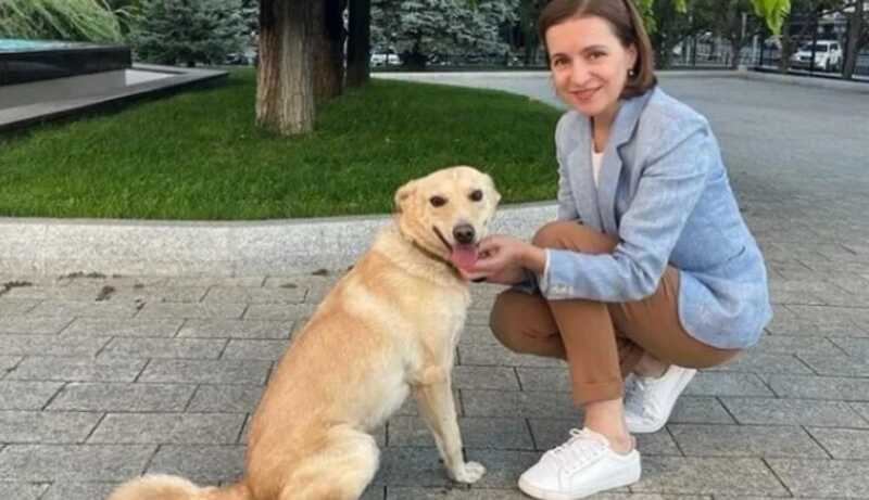 Фейерверки, запущенные в честь праздника, испугали собаку Майи Санду