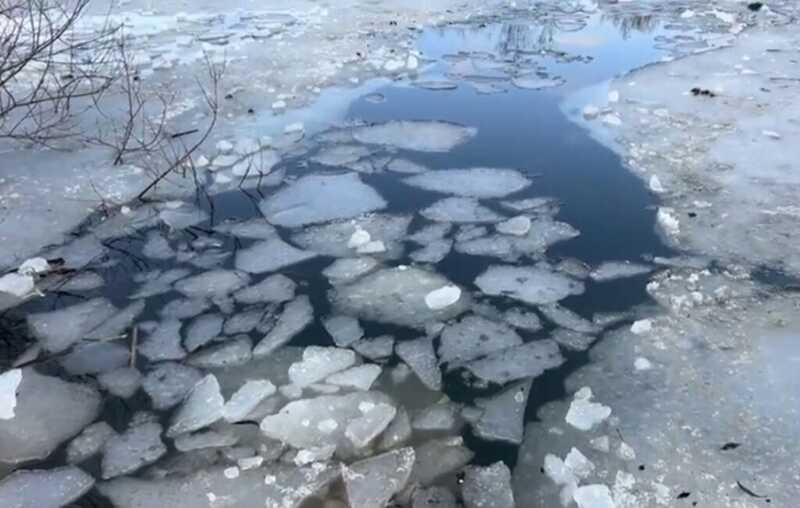 В Петербурге на глазах у десятков людей рыбак провалился под лед