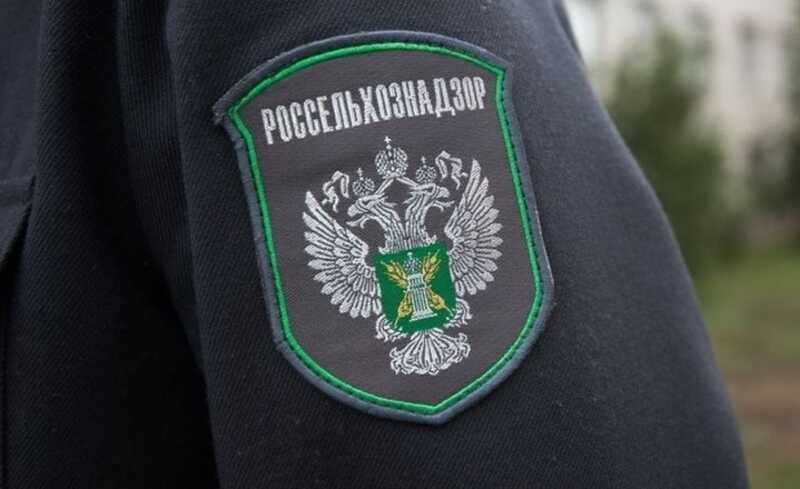Ящур и коррупция: как Россельхознадзор игнорирует угрозы в "ЛНР"