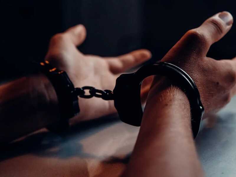 Задержанный мужчина объяснил, почему сбросил кошку с обрыва Ласточкиного гнезда