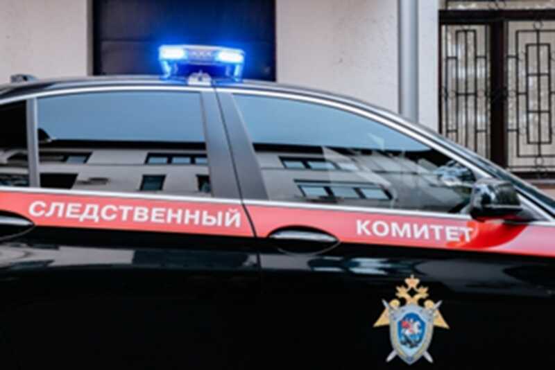 В Хакасии обнаружены убитыми женщина с ребенком и мужчина, совершивший самоубийство