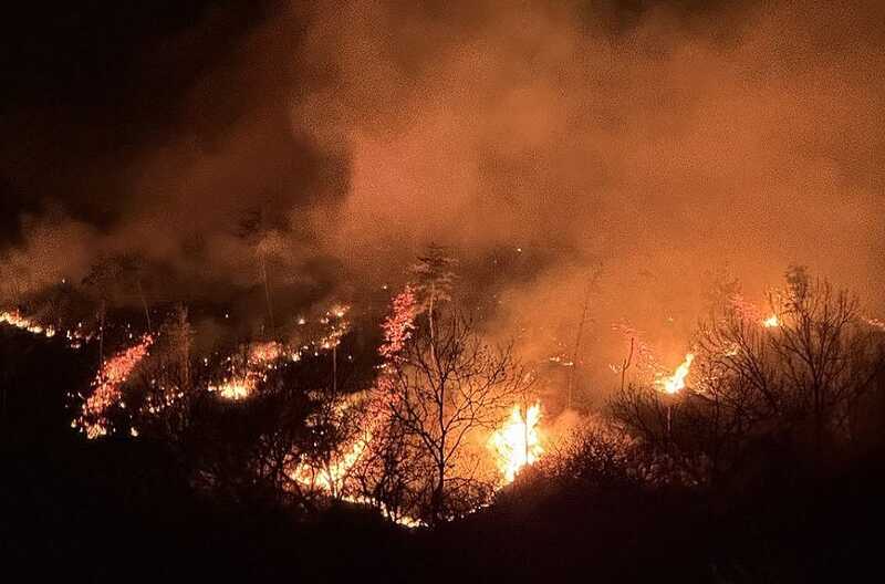 Лесные пожары в Южной Корее унесли жизни более 20 человек