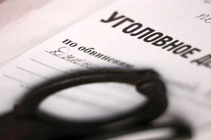Убийство школьницы в Ульяновской области: появились новые версии убийства