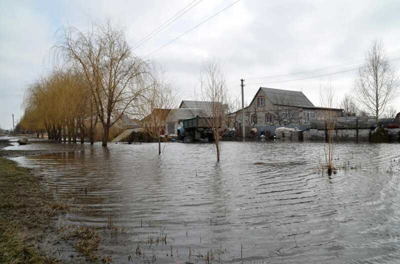 Деревня Чехов в Подмосковье оказалась под водой из-за ошибки одного из местных жителей
