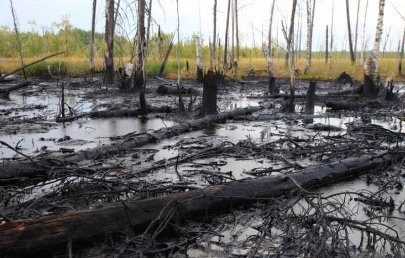 ЗАО «Центрком» обвиняют в загрязнении более 30 гектаров земли серой в Саратовской области