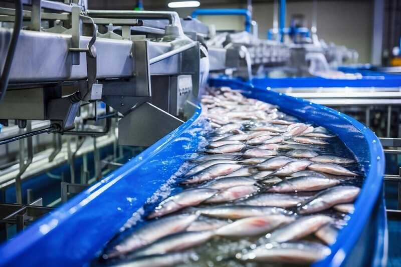 Министр Бурятии Амгалан Дармаев предложил спасать рынок рыбы через школьные обеды