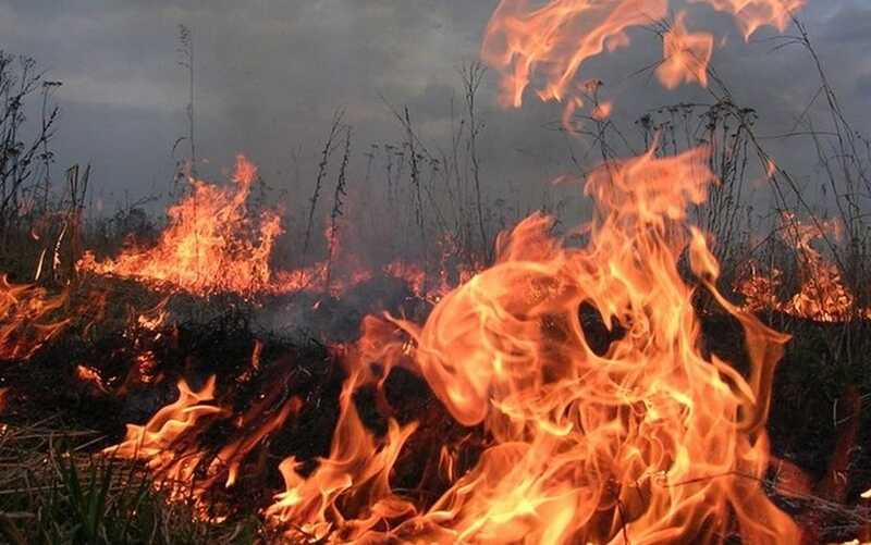 Житель Бурятии коптил сало и чуть не сжег деревню
