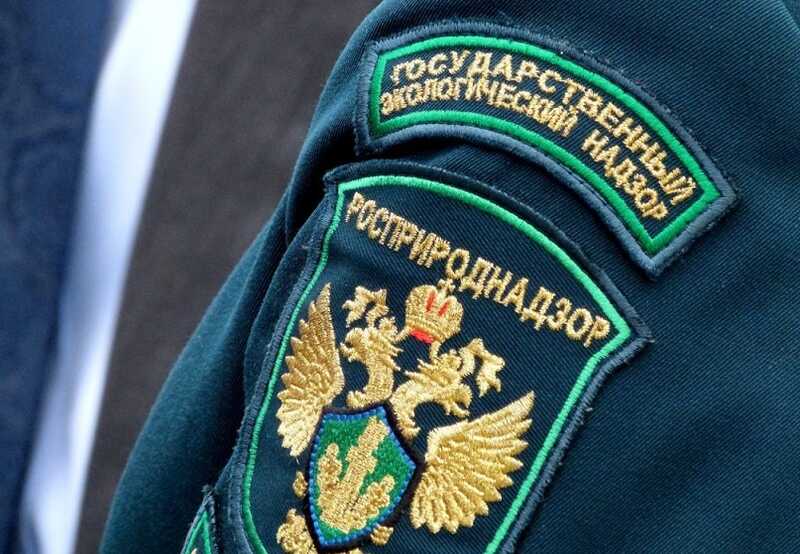 Росприроднадзор требует от «Тарховского» уплату сотен миллионов рублей за загрязнение окружающей среды