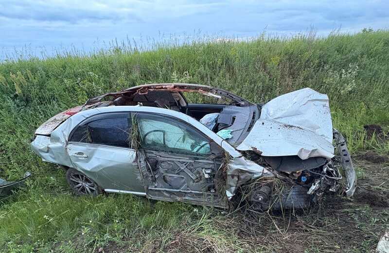 Водитель автомобиля Toyota погиб в результате столкновения с лосем на трассе в Удмуртии