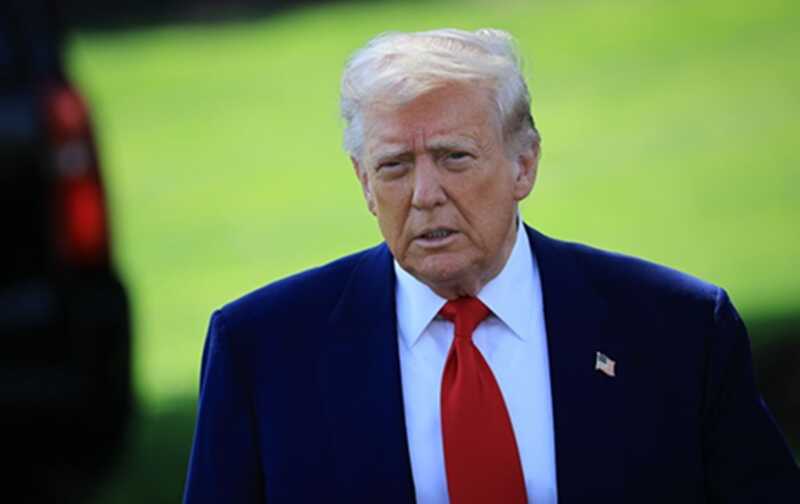 Трамп сообщил о планах провести бой UFC на территории Белого дома