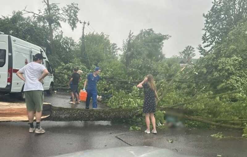 В городе Санкт-Петербург ураганный ветер уронил дерево на женщину