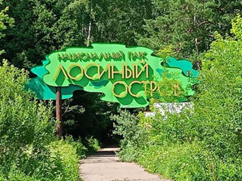 Тяжёлая техника, маски и кровь: как уничтожается Лосиный Остров под предлогом строительства инфраструктуры