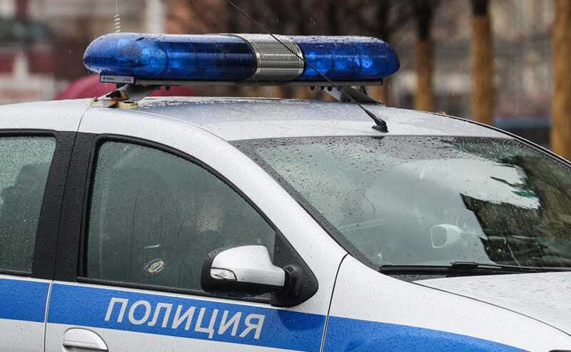 В Ленинградской области найдены тела супружеской пары и их убитых домашних животных