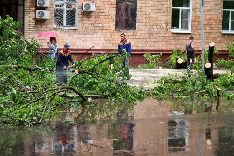 В сети появились снимки последствий мощного урагана в Москве
