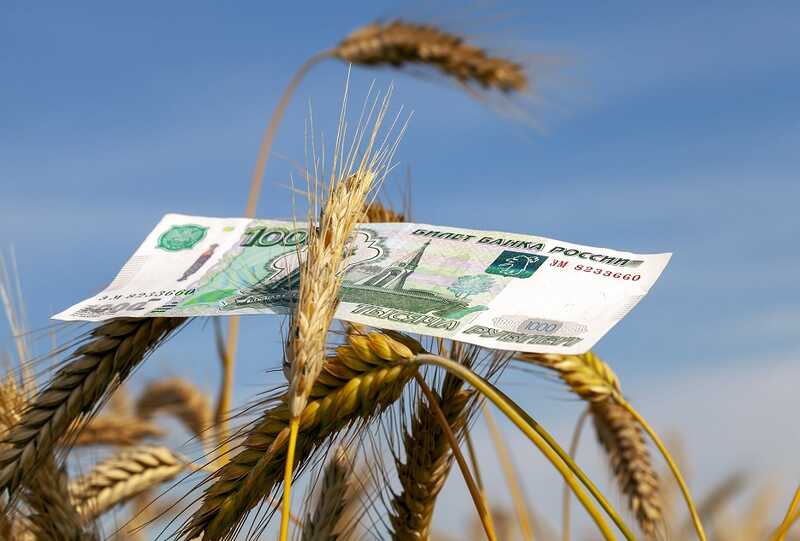 Экспорт зерна из России снижается вследствие неудачи уборочной кампании