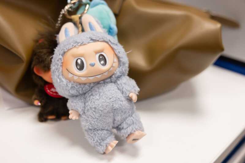 В столице из сумочек крадут дорогие игрушки Labubu
