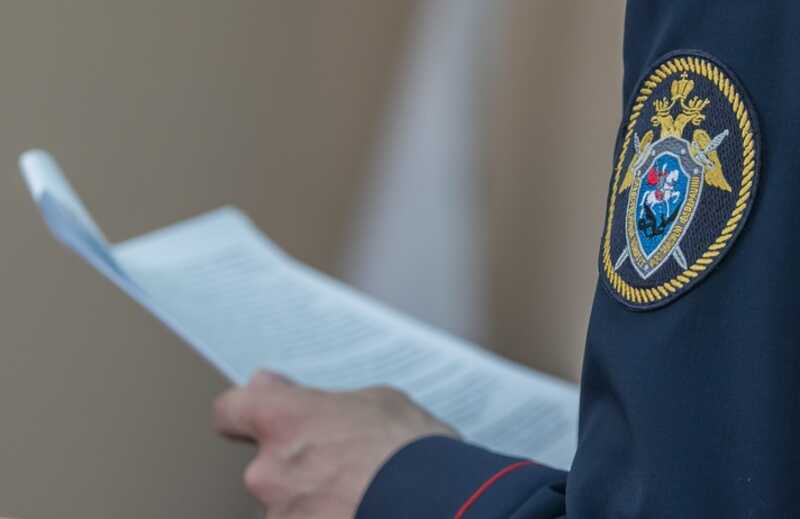 Следственный комитет начал проверку в связи с нападением на девушку в Москве