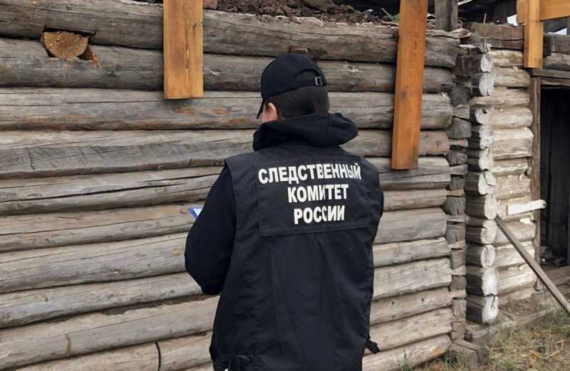 В Туве молния поразила насмерть подростка, который был пастухом