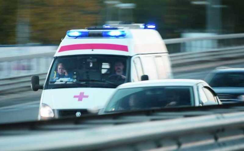 На Алтае ребёнка отвезли в больницу после укуса змеи
