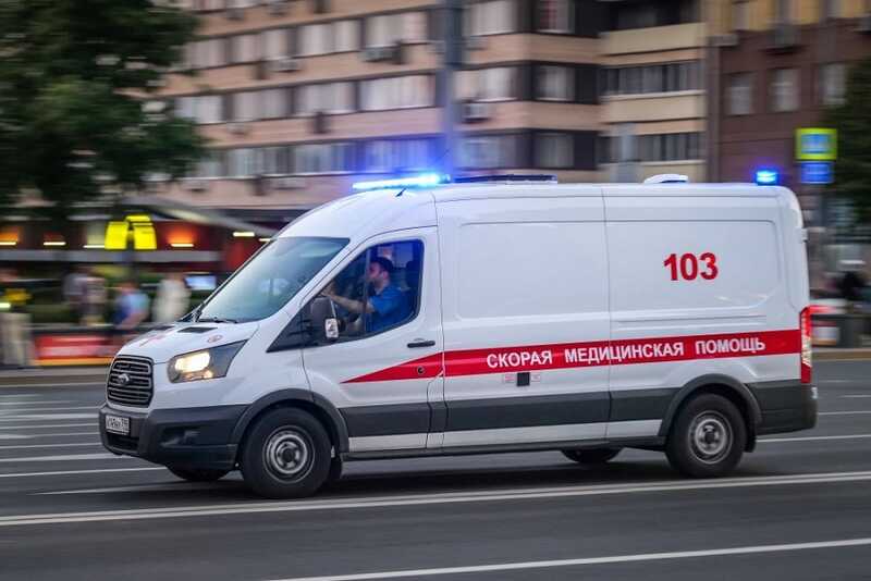 В Мурманске породистая собака атаковала ребёнка