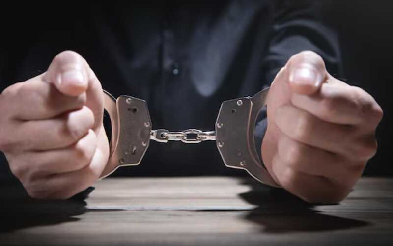 Суд в Москве отправил под домашний арест основателя «Сундука Робин Гуда»
