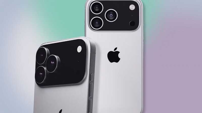 Apple       :   