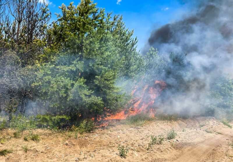 Лесное возгорание в Геленджике распространилось на 14 гектаров: МЧС привлекает авиацию