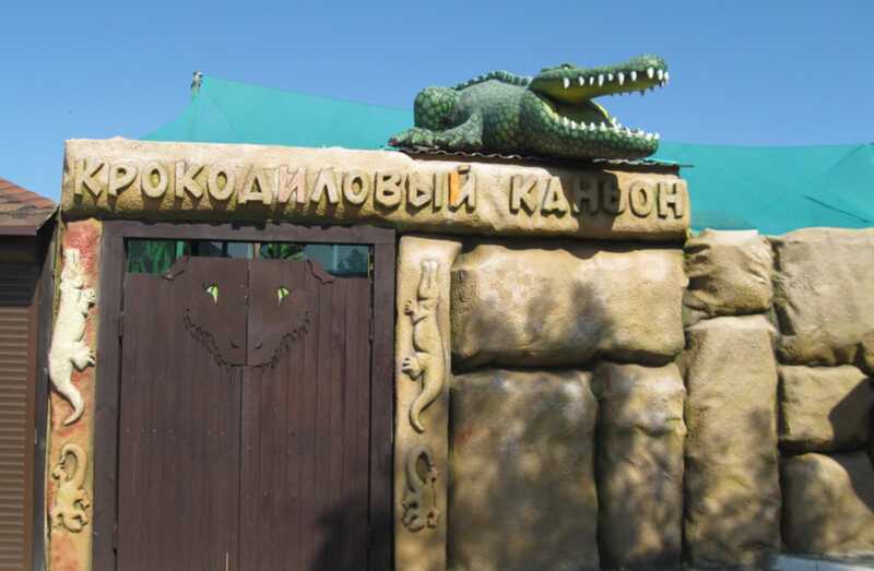 В Ейске в зоологическом парке «Крокодиловый каньон» скончались 28 крокодилов и одна черепаха